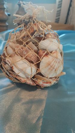 Sea shells