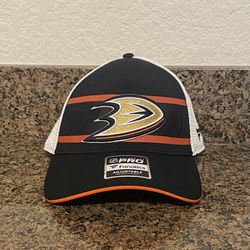 Anaheim Duck HNL 2nd Season