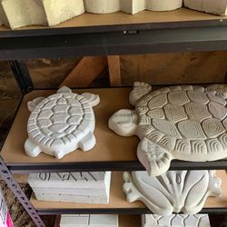 Tirtle stepping stones