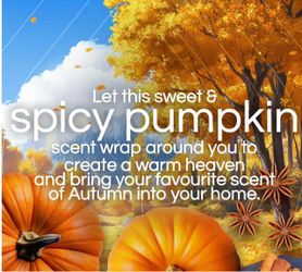 AIR WICK 9 REFILLS PUMPKIN SPICE