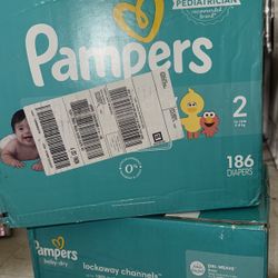 Pampers / Everylife Pampers 