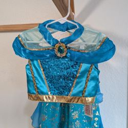 Jasmine from Aladdin dress from  bippity boppity boutique at Disneyland. Gently used.