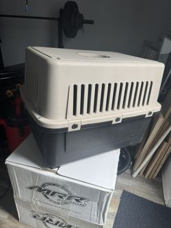 Dog Crate For Sale