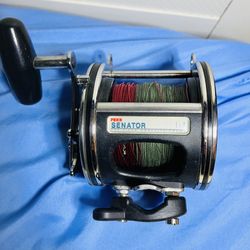 Penn Senator 113 Fishing Reel 