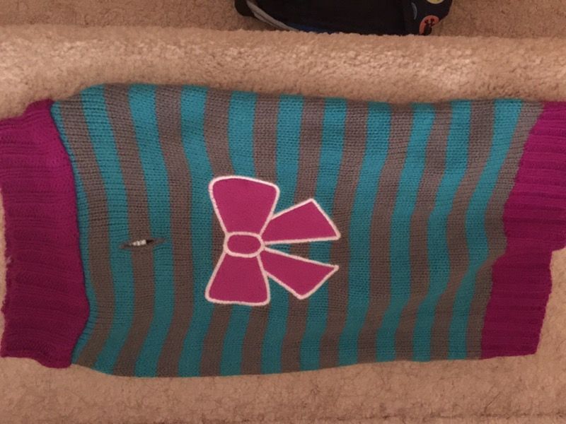 Pet sweater