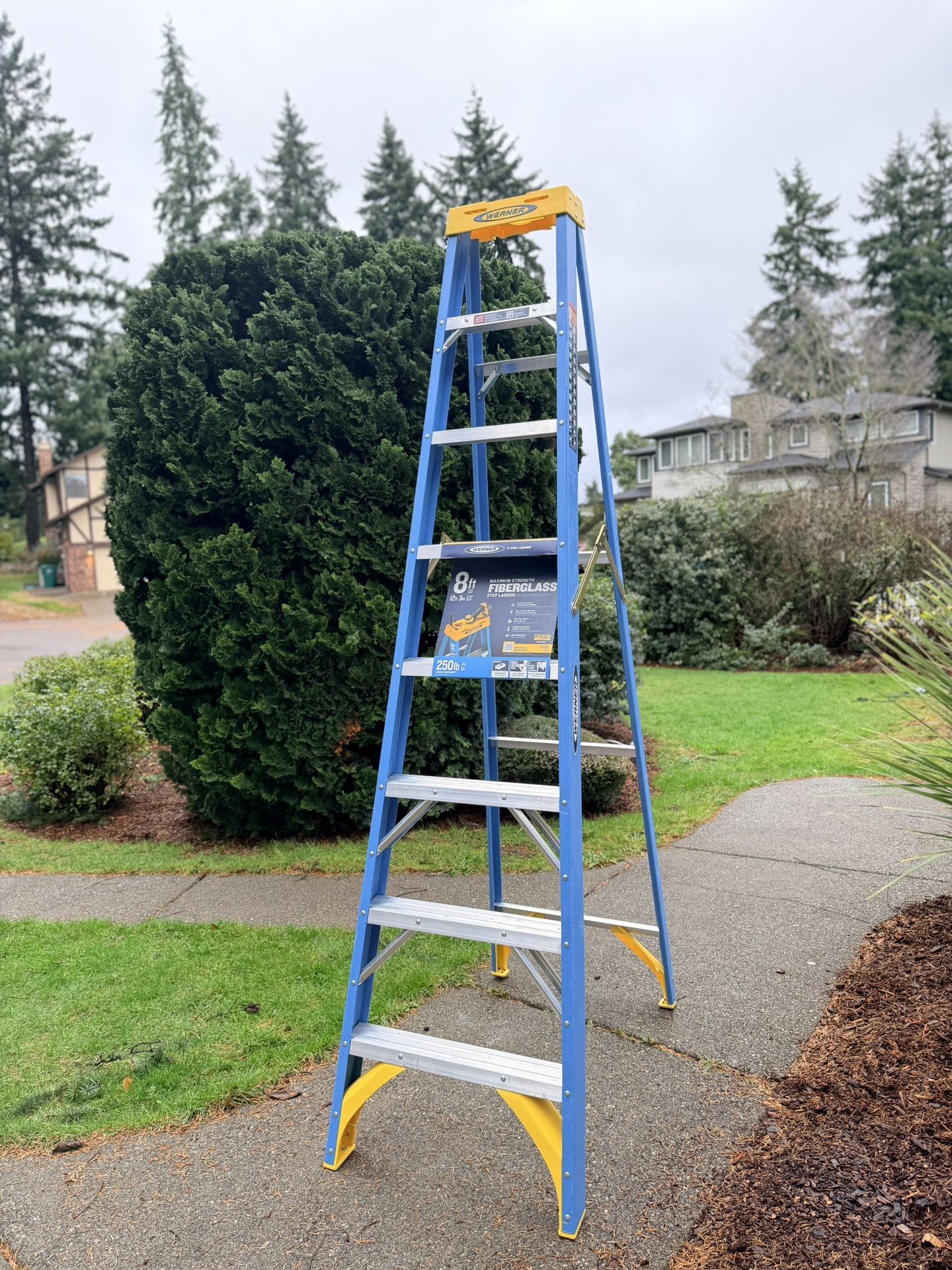 Werner fiberglass 8ft ladder 250 lbs - Brand New never use