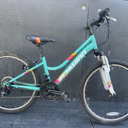 Schwinn high online timber 24 teal