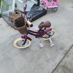 Custom Girls Bike
