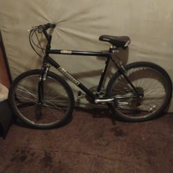 Diamondback Mountain Bike New Tires!