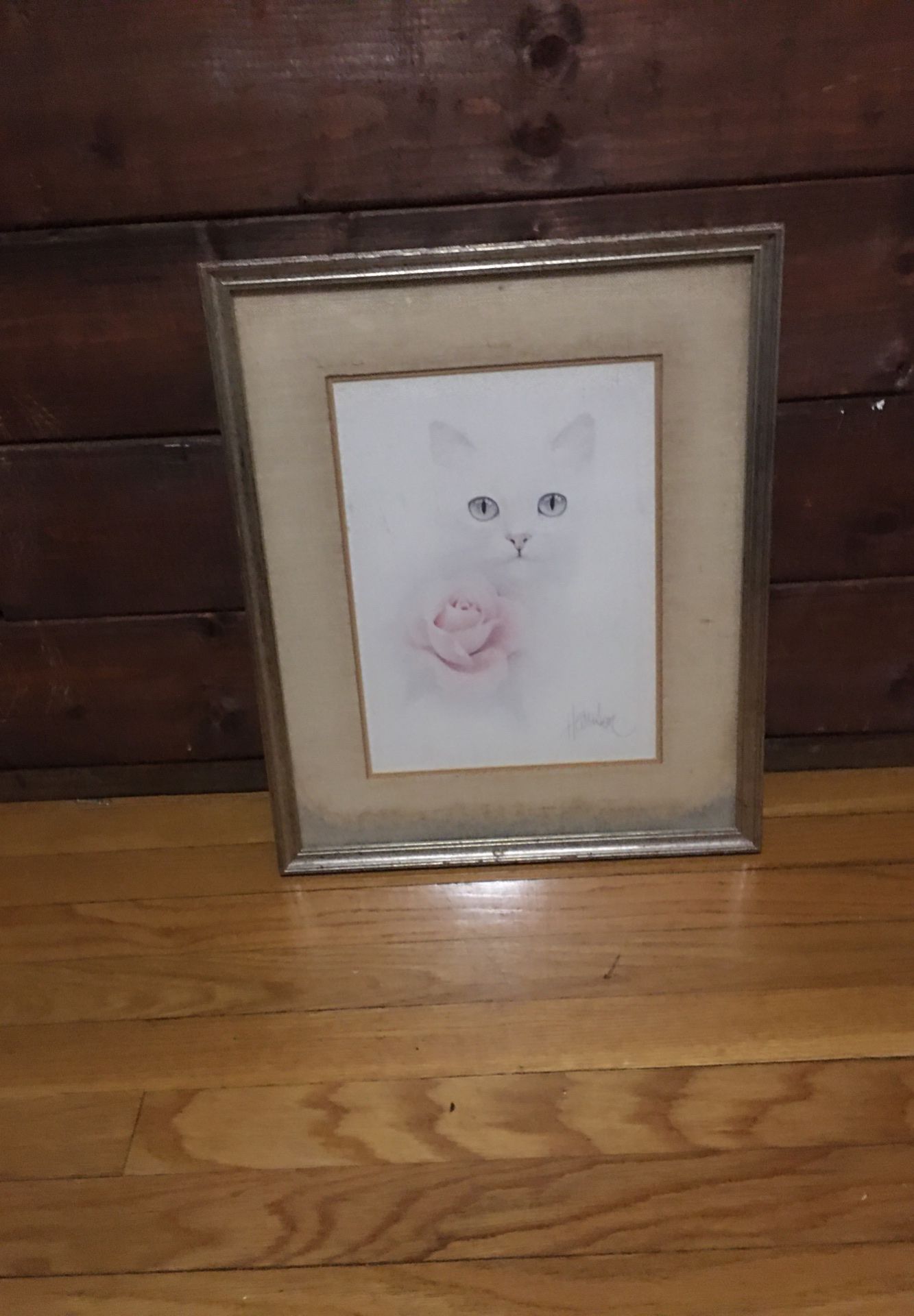 Cat picture