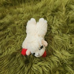 Small Lambi Dog Toy W Squeaker
