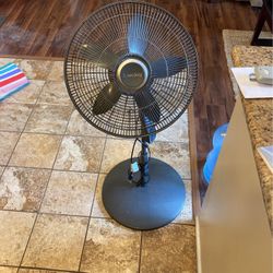 Fan