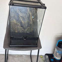 Reptile Enclosure