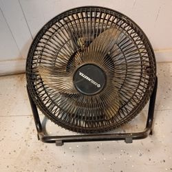 Fan