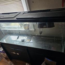 Fish Tank 55 Gallons
