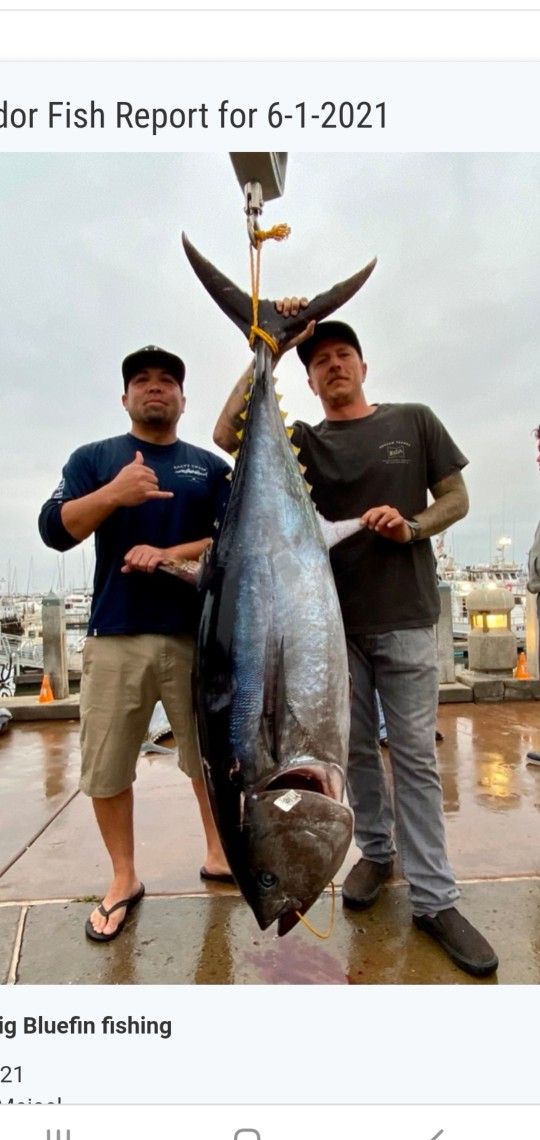 $550 Okuma Rail Rod Fishing Combo/ Blufin Tuna/Pacific Halibut for Sale ...