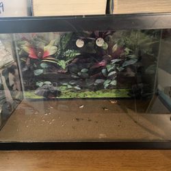 10 Gallon Tank 