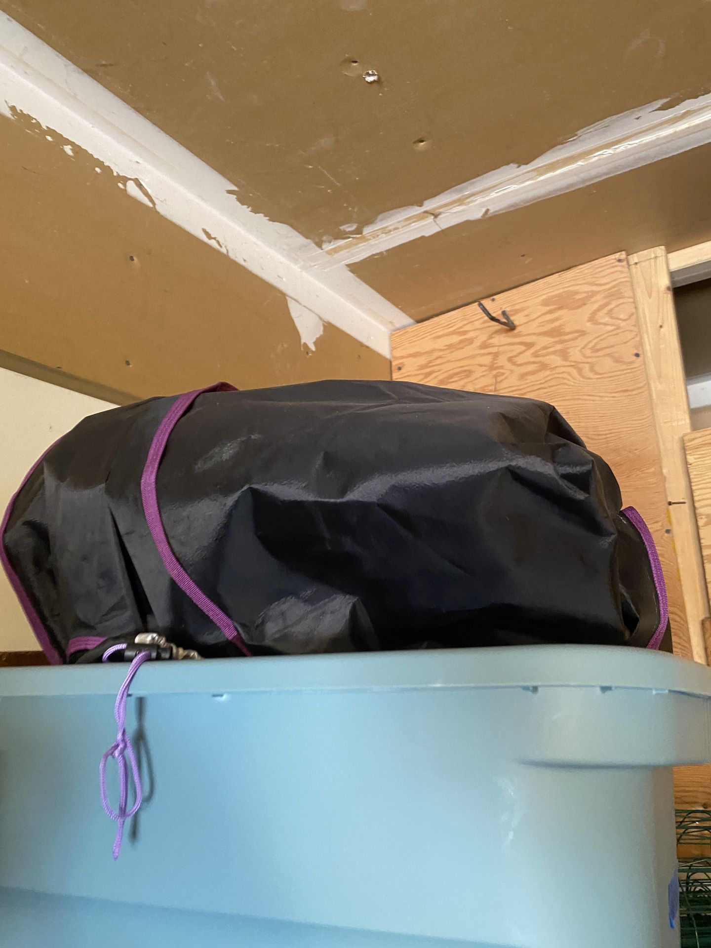 Grow tents and other supplies