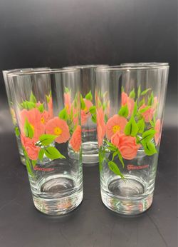 Franciscan Desert Rose Floral Highball Glasses - Set of 5
