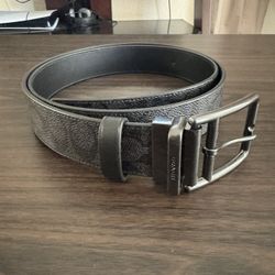 Coach Belt