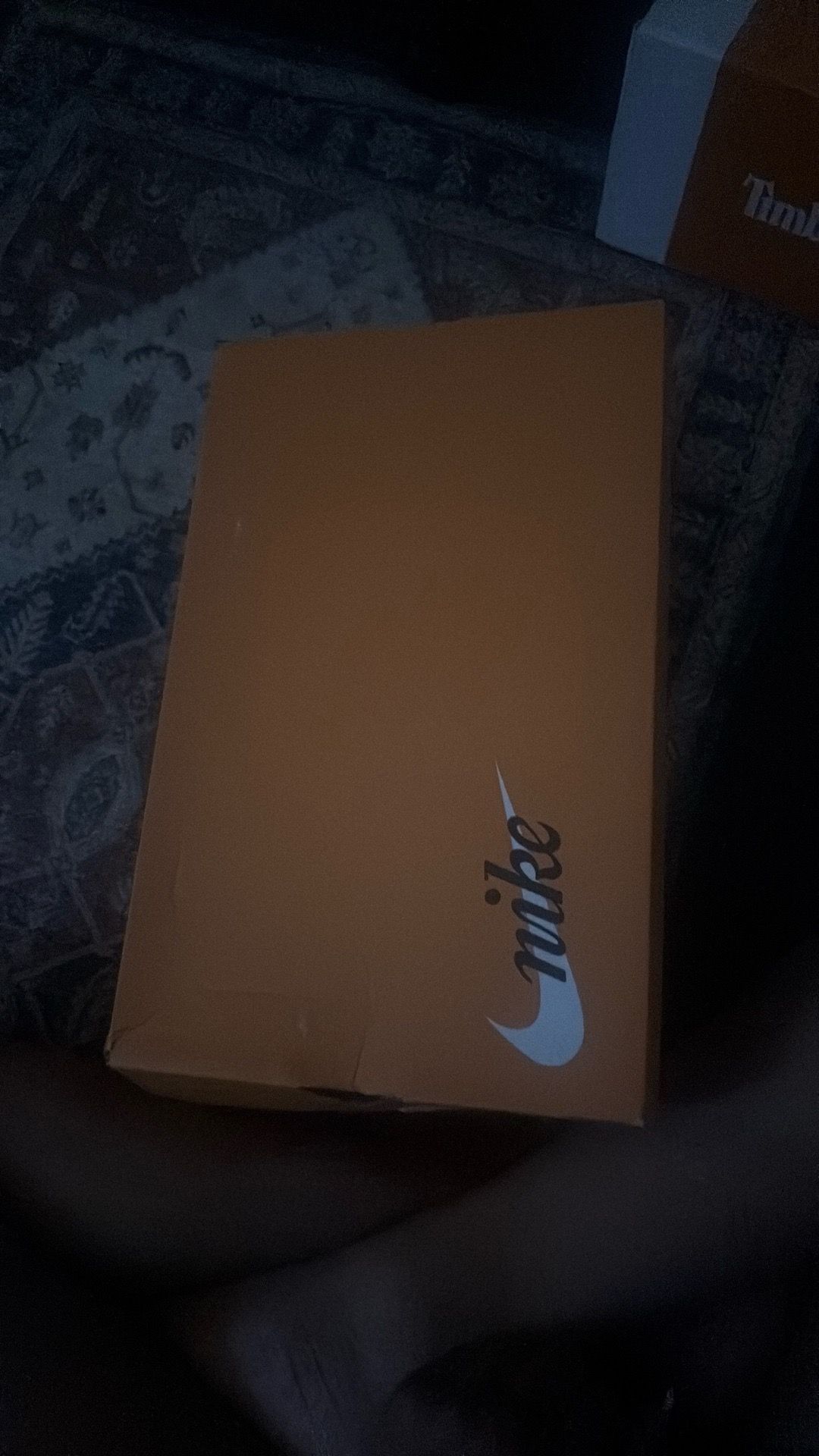 Nike Courts Size 7
