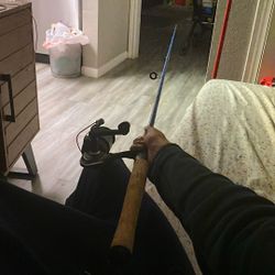 Fishing Rod