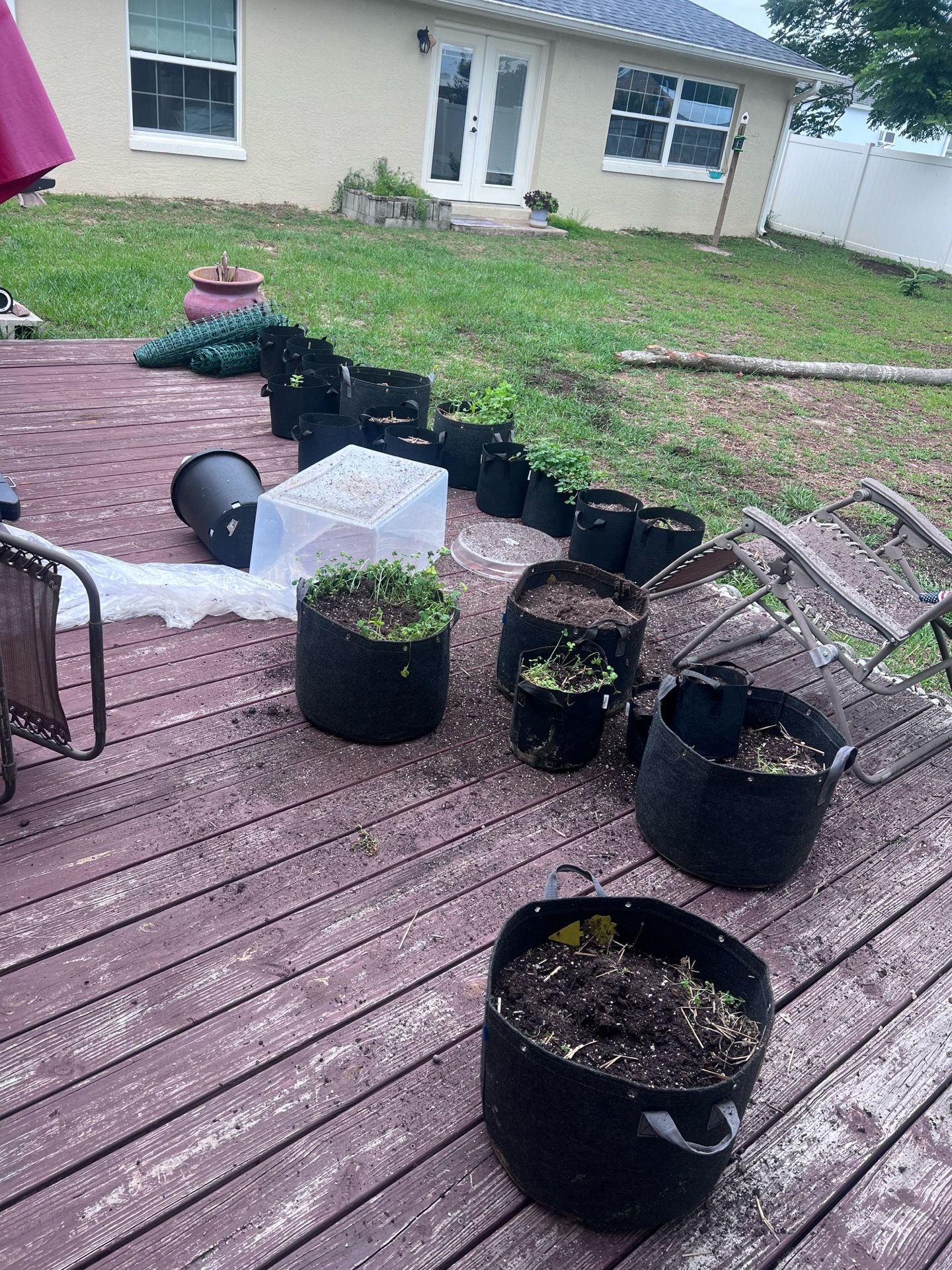 Free fabric pots with soil