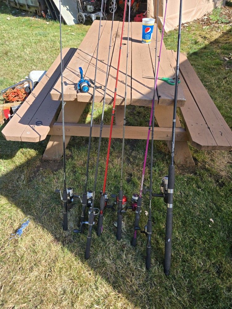 Whole Lot Of Rods And Reels. Zebco And Others