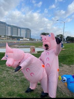 Inflatable pic Costume