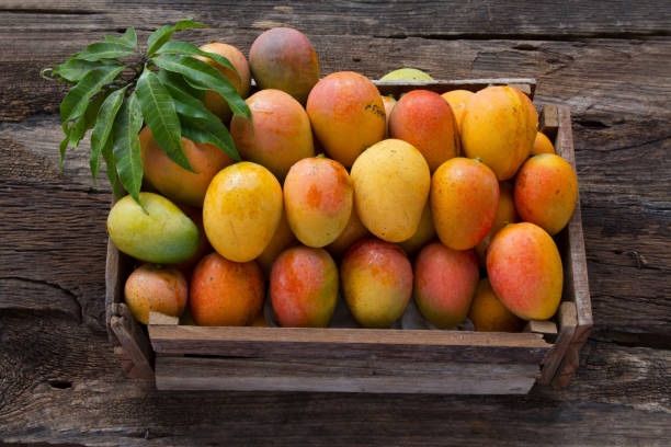 Big Delicious Mangoes 🥭