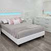 Robert Modern Furniture 