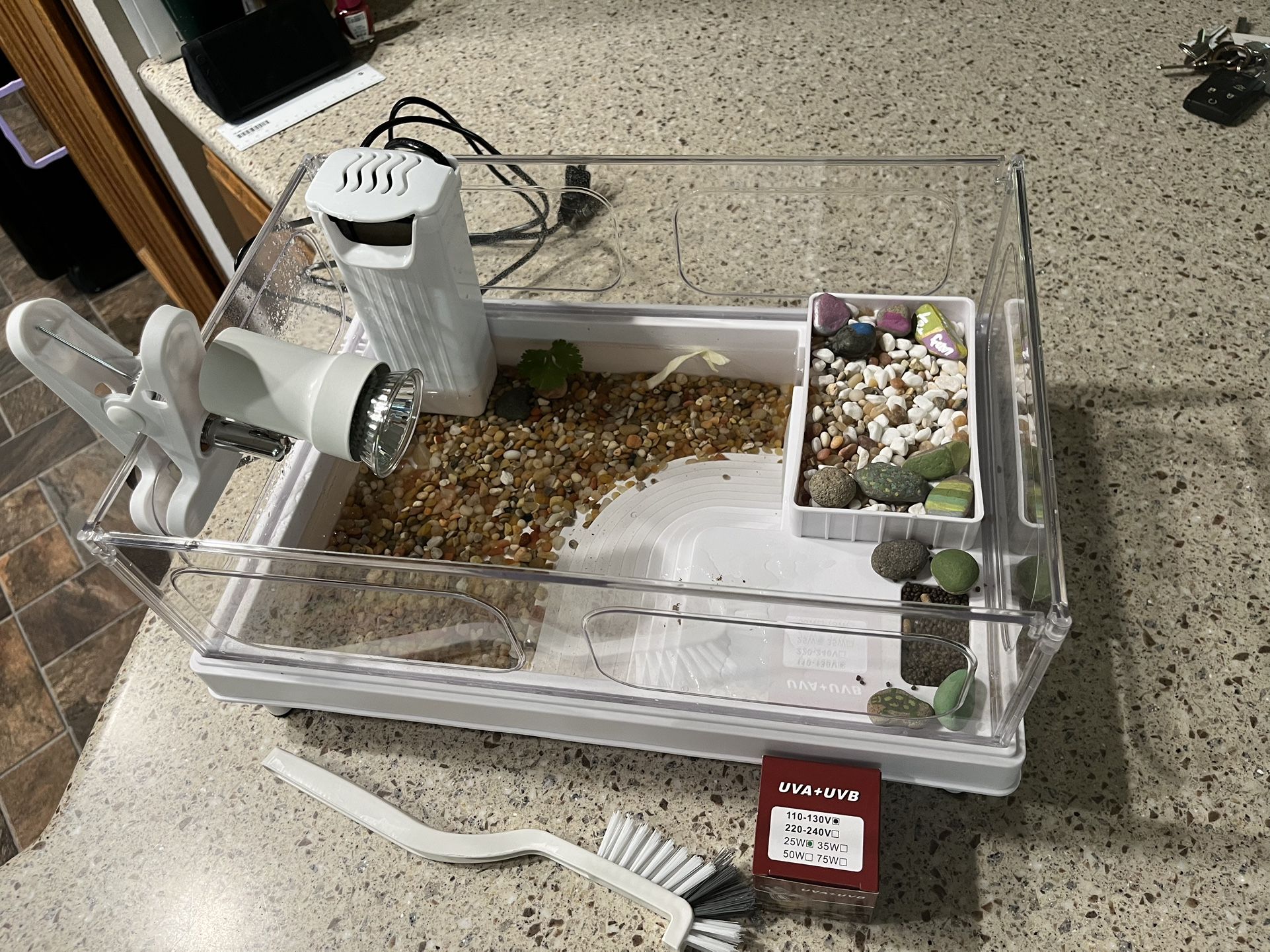Small Turtle Habitat