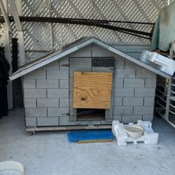 Dog House 