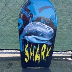 Kid Boogie Board New 