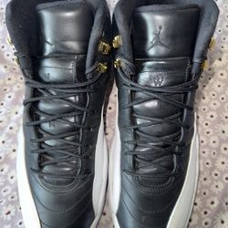Air Jordan 12 ‘Wings’  Sz 10