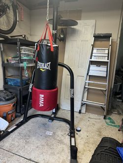 EverLast Punching And Speed Bag Set
