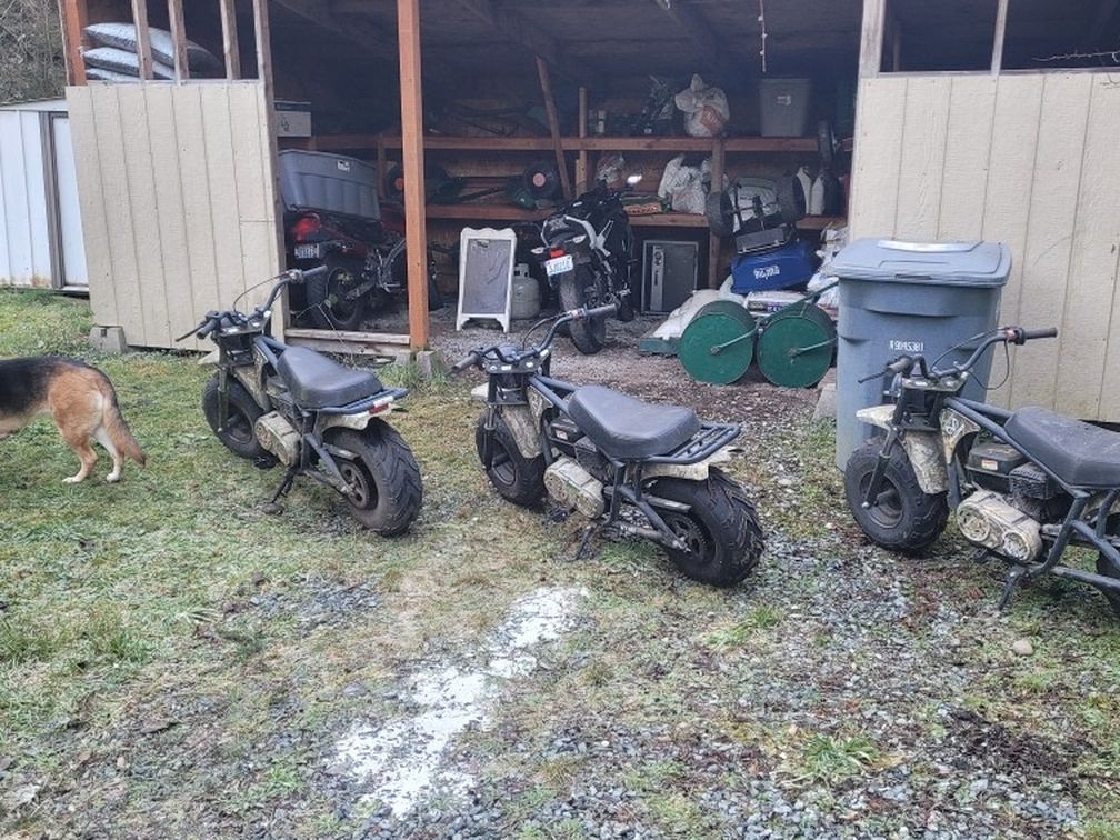 Camo Edition Coleman Trail Bikes