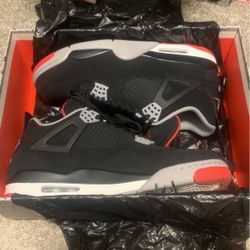 Worn Twice 2019 Bred 4