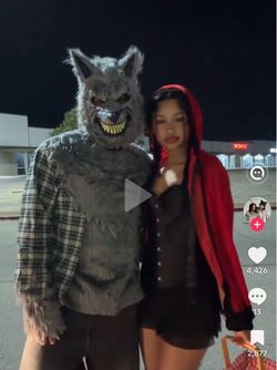 Wolf costume