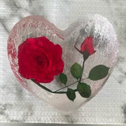 Heart-Shaped Resin Rose Keepsake — Handmade Floral Gift 