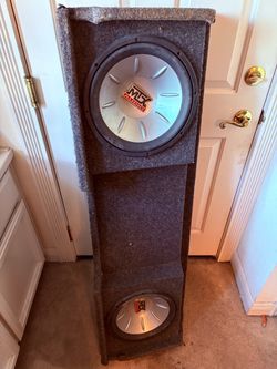 2 10’s with the speaker box