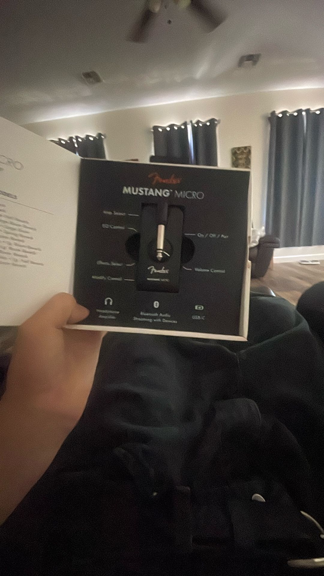 Mustang Micro