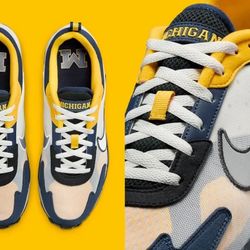Nike College Air Max Solo x Michigan Shoes FZ4835-001