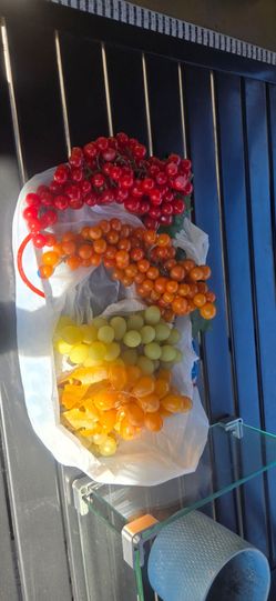 Vintage  plastic  grapes