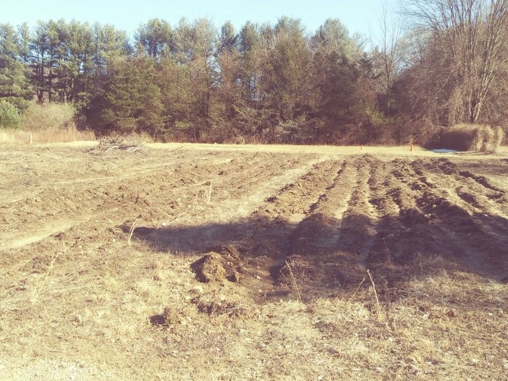 Farm Land For Lease