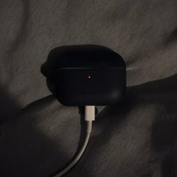 airpod earbuds (lightening cable)