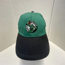 Maine Celtics Snapback Hat Cap Portland ME Basketball Lobster - Green Black