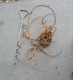 Dog Lead And Stake