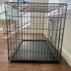 Large dog cage