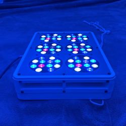 LED Indoor Growing Light 